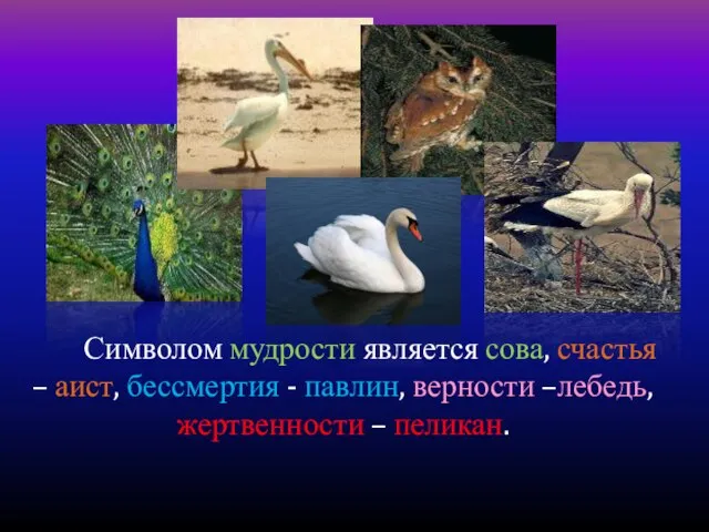 Символом мудрости является сова, счастья – аист, бессмертия - павлин, верности –лебедь, жертвенности – пеликан.