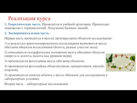 Реализация курса 1. Теоретическая часть. Проводится в учебной аудитории. Происходит знакомство с