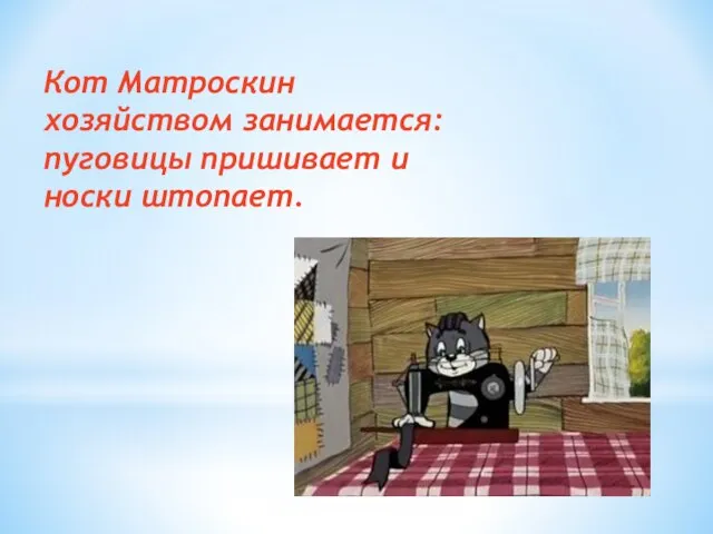 Кот Матроскин хозяйством занимается: пуговицы пришивает и носки штопает.