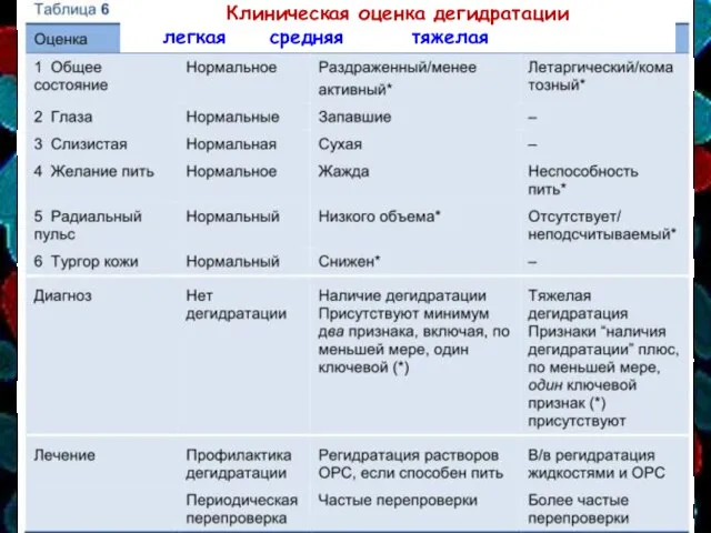 Клиническая оценка дегидратации легкая средняя тяжелая