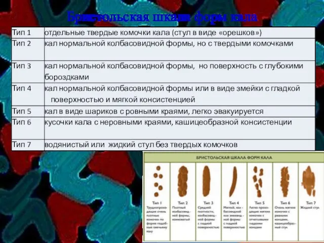 Бристольская шкала форм кала