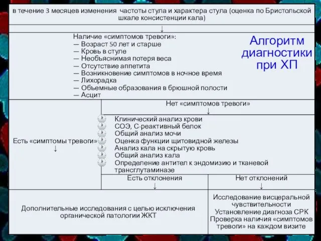 Алгоритм диагностики при ХП