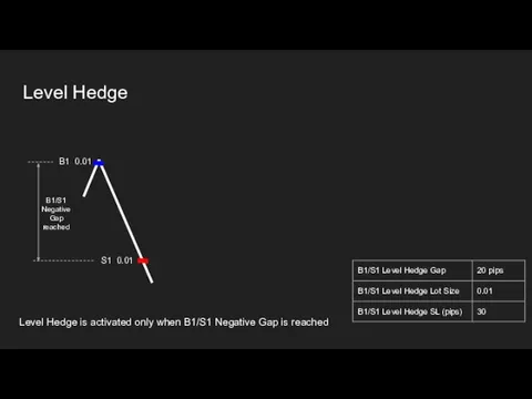 Level Hedge is activated only when B1/S1 Negative Gap is reached Level
