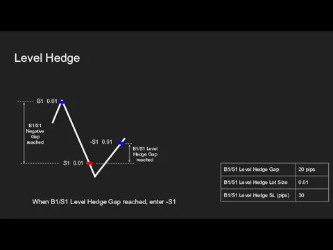 When B1/S1 Level Hedge Gap reached, enter -S1 Level Hedge B1 0.01