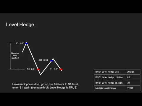 Level Hedge B1 0.01 S1 0.01 -S1 0.01 Negative Gap reached However
