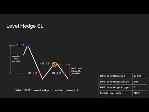 Level Hedge SL B1 0.01 S1 0.01 -S1 0.01 Negative Gap reached