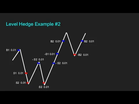 B2 0.01 S2 0.01 S1 0.01 Level Hedge Example #2 B1 0.01