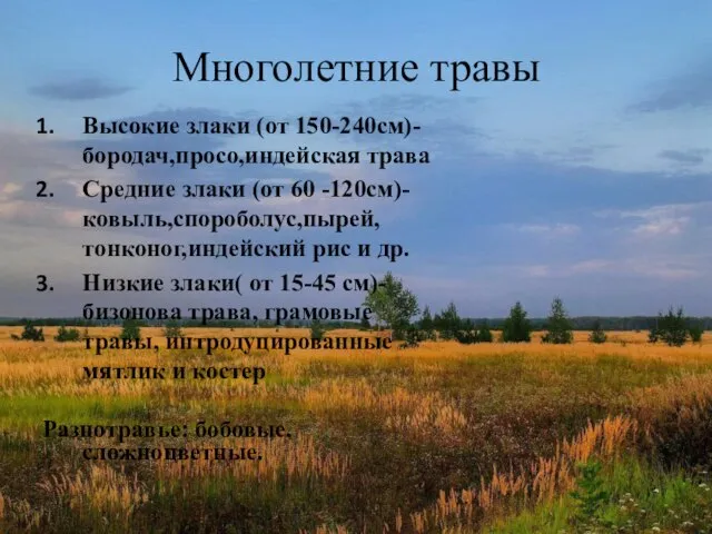 Многолетние травы Высокие злаки (от 150-240см)-бородач,просо,индейская трава Средние злаки (от 60 -120см)-ковыль,спороболус,пырей,тонконог,индейский