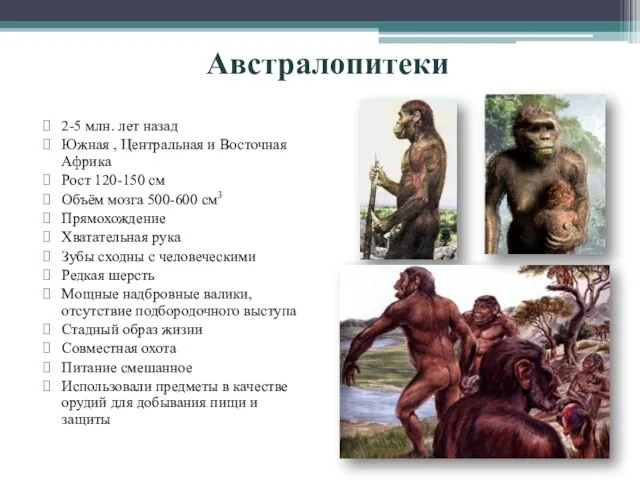 Австралопитеки 2-5 млн. лет назад Южная , Центральная и Восточная Африка Рост