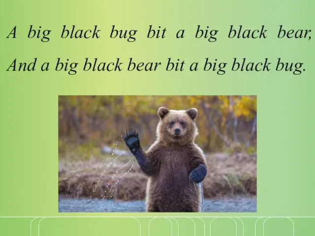 A big black bug bit a big black bear, And a big