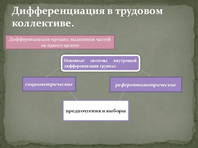 Дифференциация в трудовом коллективе. Дифференциация-процесс выделения частей из одного целого Основные системы