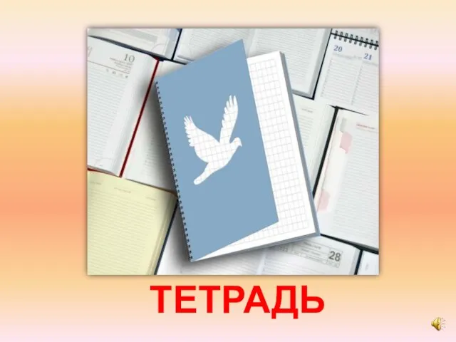 ТЕТРАДЬ