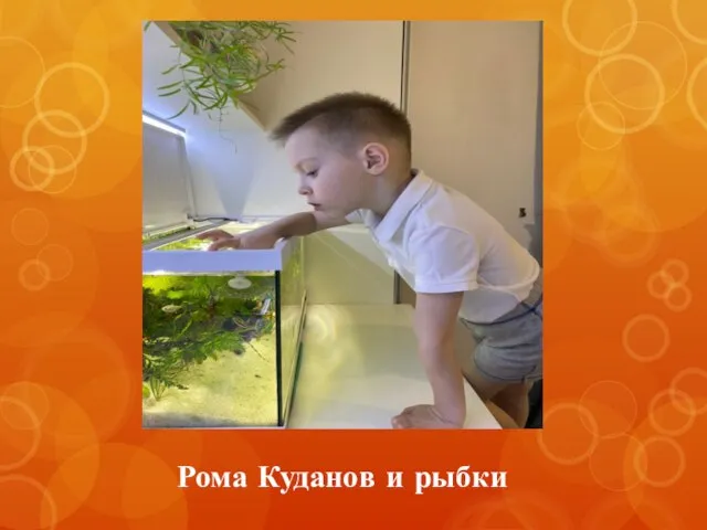 Рома Куданов и рыбки