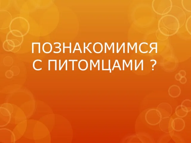 ПОЗНАКОМИМСЯ С ПИТОМЦАМИ ?