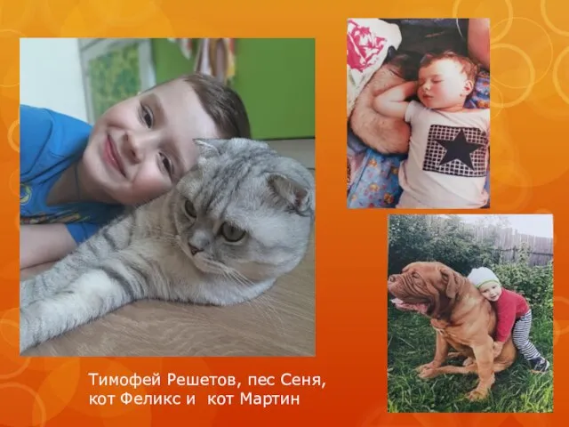 Тимофей Решетов, пес Сеня, кот Феликс и кот Мартин