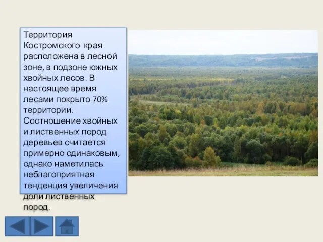 Территория Костромского края расположена в лесной зоне, в подзоне южных хвойных лесов.