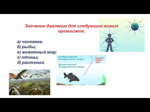 Значение давления для следующих живых организмов: а) человека; б) рыбы; в) животный
