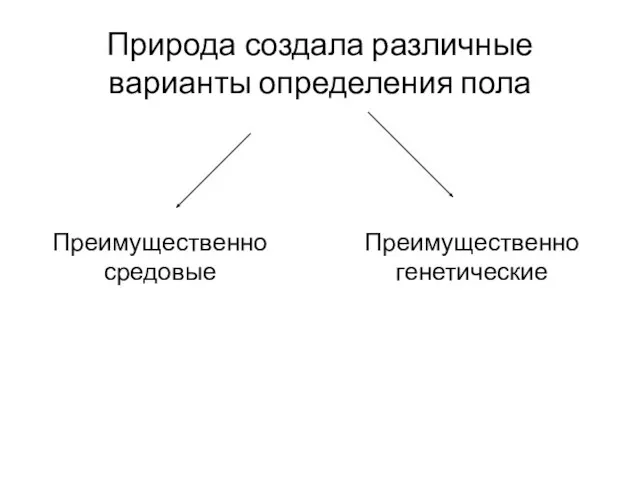 Природа создала различные варианты определения пола Преимущественно средовые Преимущественно генетические