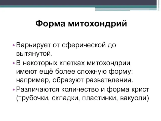 Форма митохондрий Варьирует от сферической до вытянутой. В некоторых клетках митохондрии имеют