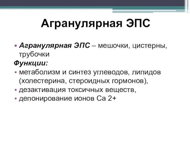 Агранулярная ЭПС Агранулярная ЭПС – мешочки, цистерны, трубочки Функции: метаболизм и синтез