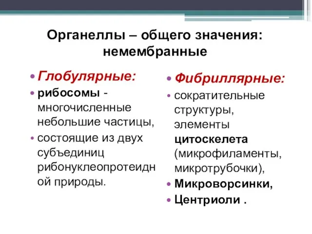 Органеллы – общего значения: немембранные Глобулярные: рибосомы - многочисленные небольшие частицы, состоящие