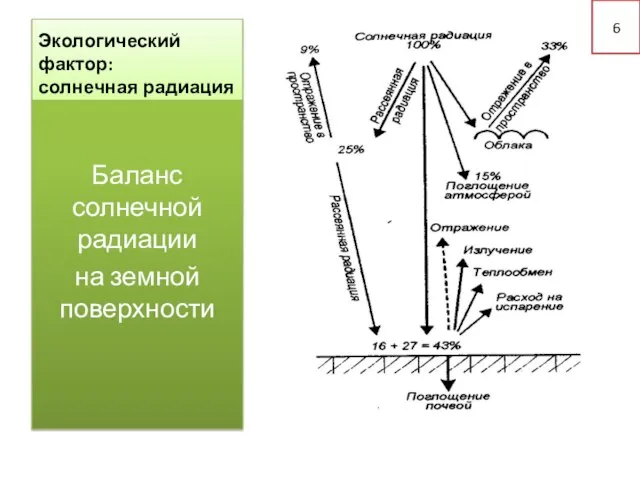 Экологический фактор: солнечная радиация Баланс солнечной радиации на земной поверхности 6