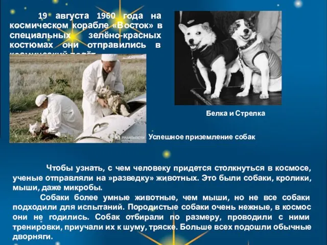 19 августа 1960 года на космическом корабле «Восток» в специальных зелёно-красных костюмах