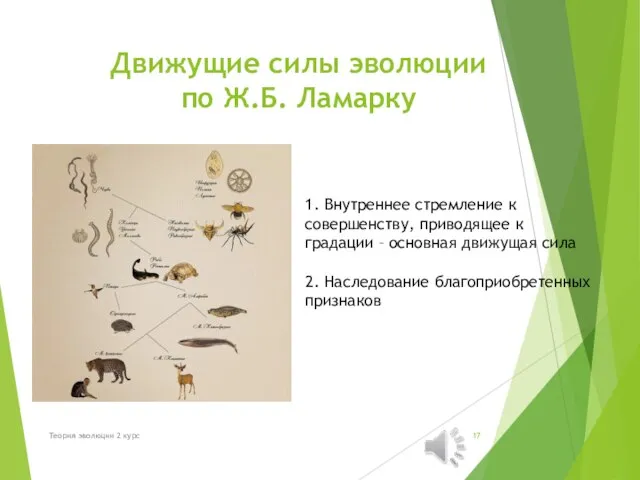 Движущие силы эволюции по Ж.Б. Ламарку 1. Внутреннее стремление к совершенству, приводящее