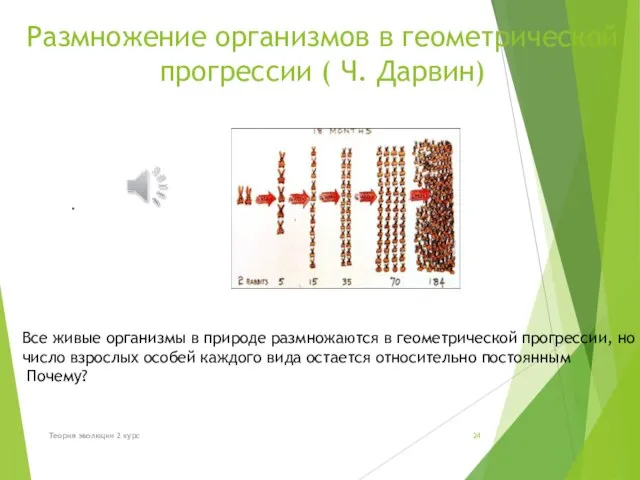 Размножение организмов в геометрической прогрессии ( Ч. Дарвин) . Все живые организмы