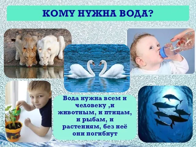 КОМУ НУЖНА ВОДА? Вода нужна всем и человеку ,и животным, и птицам,