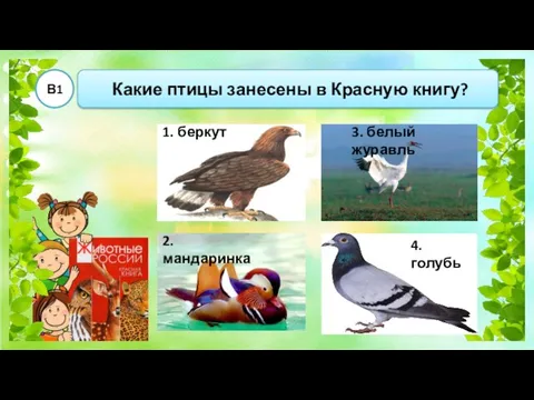 Какие птицы занесены в Красную книгу? В1