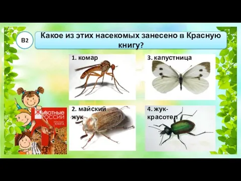 Какое из этих насекомых занесено в Красную книгу? В2