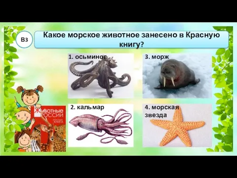 Какое морское животное занесено в Красную книгу? В3