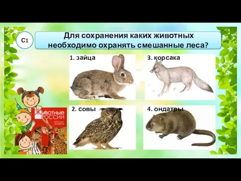 Для сохранения каких животных необходимо охранять смешанные леса? С1