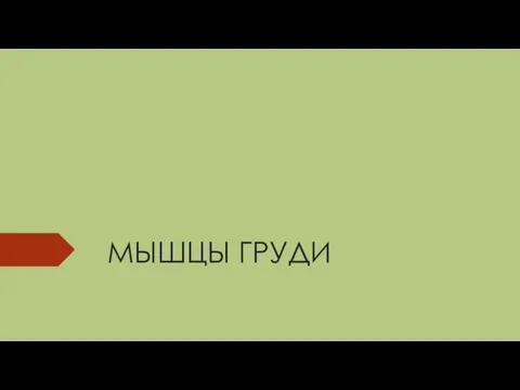 МЫШЦЫ ГРУДИ