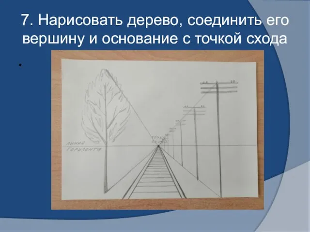 7. Нарисовать дерево, соединить его вершину и основание с точкой схода