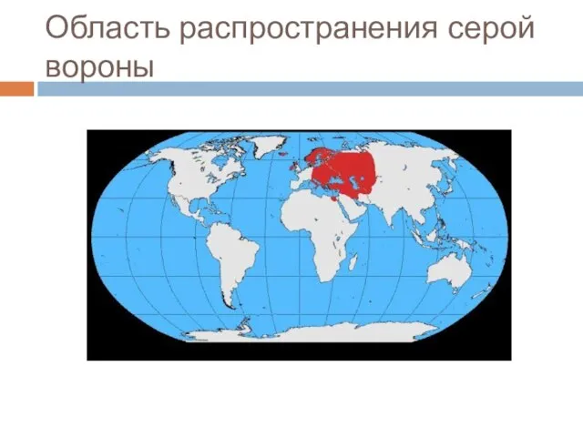 Область распространения серой вороны