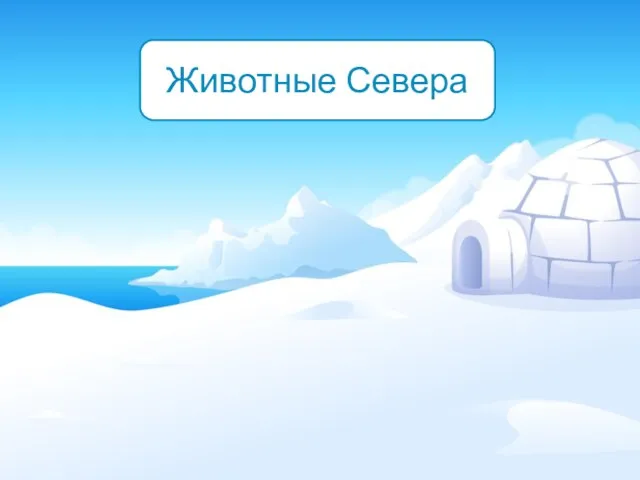 Животные Севера