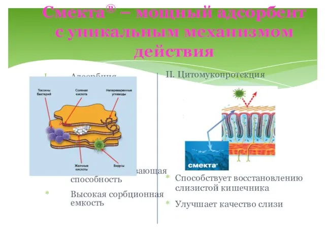 Смекта® – мощный адсорбент с уникальным механизмом действия Адсорбция Высокая связывающая способность