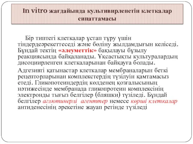 Іn vitro жағдайында культивирленетін клеткалар сипаттамасы Бір типтегі клеткалар ұстап тұру үшін