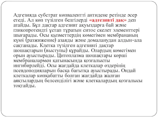 Адгезияда субстрат көпвалентті антидене ретінде әсер етеді. Ал көп түзілген белгілерді «адгезивті