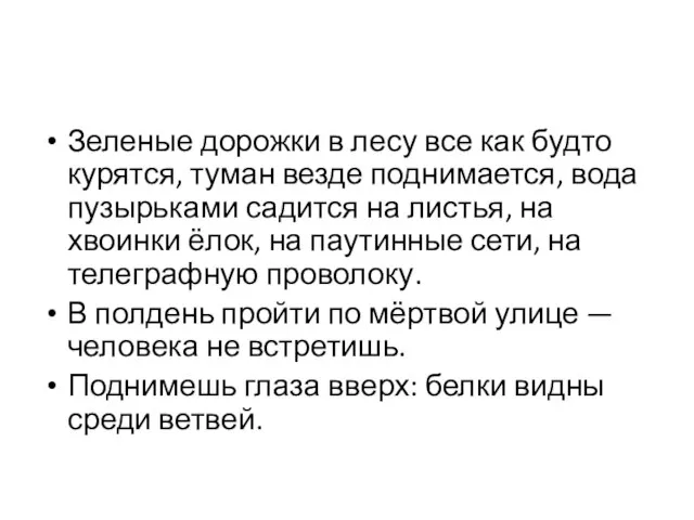 Зеленые дорожки в лесу все как будто курятся, туман везде поднимается, вода