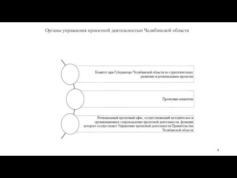 Органы управления проектной деятельностью Челябинской области 4