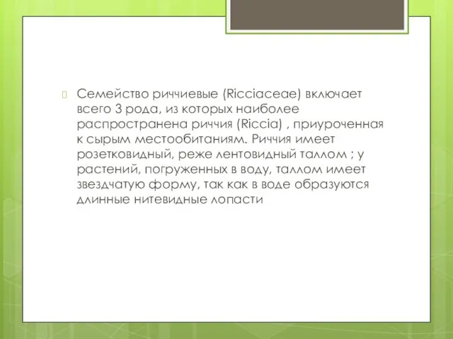 Семейство риччиевые (Ricciaceae) включает всего 3 рода, из которых наиболее распространена риччия