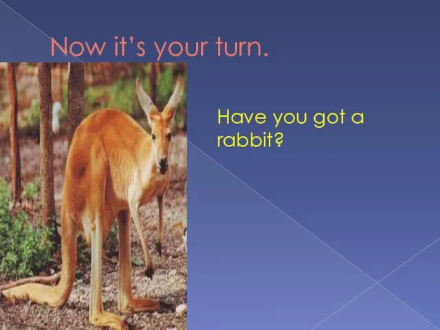 Now it’s your turn. Have you got a rabbit?