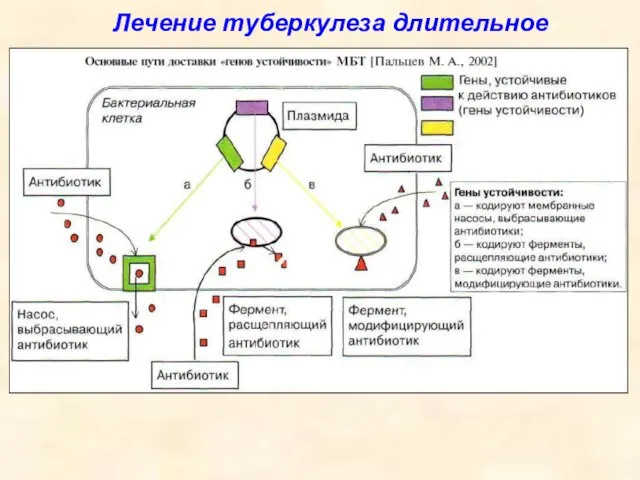 Лечение туберкулеза длительное