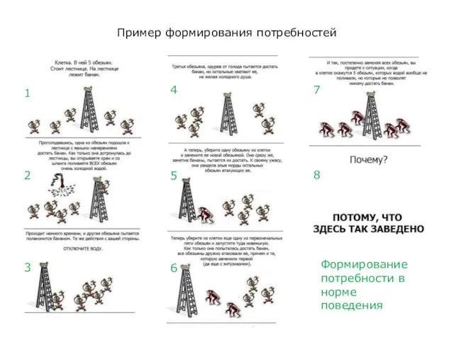 Пример формирования потребностей 1 2 3 4 5 6 7 8 Формирование потребности в норме поведения