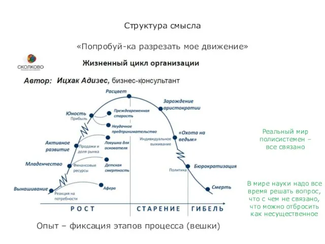 Структура смысла «Попробуй-ка разрезать мое движение» Опыт – фиксация этапов процесса (вешки)