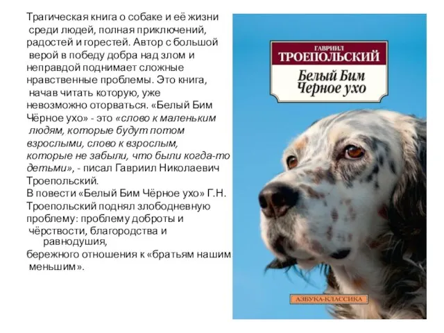 Трагическая книга о собаке и её жизни среди людей, полная приключений, радостей