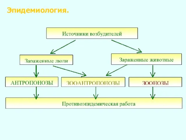 Эпидемиология.